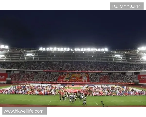 蚌埠足球星光闪耀：新一代足球力量崭露头角，未来可期