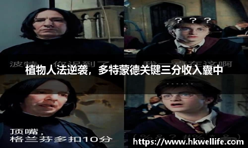 NG体育