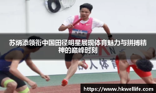 NG体育官网
